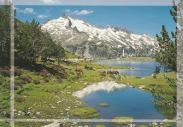 La Néouvielle Et Le Lac D'Aumar - Aragnouet