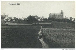 Biez - Panorama Du Village - Eglise Et Maisons Environnantes ( Voir Verso ) / Destockage - Grez-Doiceau