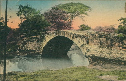 PANAMA LA VIEJA - PUENTE DEL REY - ED. LEWIS SERVICE INC. - 1920s /30s (17765) - Panama