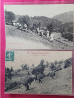 Les Vosges Fenaison 2 Cartes - Granges Sur Vologne