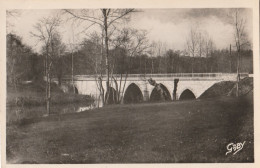 44 - Aigrefeuille  -  Le Pont Diderot - Aigrefeuille-sur-Maine