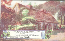 Greetings From CORK  - A COTTAGE IN OLD IRELAND - Cork