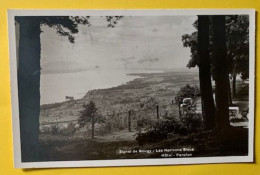 19953 -  Signal De Bougy Les Horizons Bleus Hôtel-Pension - Aubonne