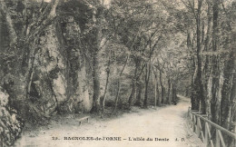 FRANCE - Bagnoles De L'Orne - L'allée Du Dante - Carte Postale Ancienne - Bagnoles De L'Orne