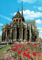 BELGIQUE - Leuven - Vue Générale De St Pierre - Carte Postale - Leuven