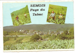 3485 - ROCHEHAUT -  FREHAN   (Bouillon Et Environ ) Semois Pays Du Tabac - Bouillon