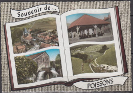 CPSM  De POISSONS   Hte-Marne      Non écrite   Souvenir De... Multi Vues - Poissons