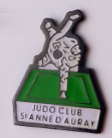 PP31 Pin's Judo Club Sainte St Anne D'Auray Morbihan Achat Immédiat - Judo