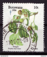 Botswana 1994 - Oblitéré - Noël - Fruits - Michel Nr. 574 (09-024) - Botswana (1966-...)