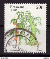 Botswana 1995 - Oblitéré - Noël - Flore - Michel Nr. 590 (09-025) - Botswana (1966-...)