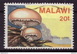 Malawi 1985 - Oblitéré - Champignons - Michel Nr. 442 (09-102) - Malawi (1964-...)