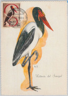 52628 - SOMALIA  - MAXIMUM CARD - ANIMALS Birds CRANE  1959 - Aves Gruiformes (Grullas)