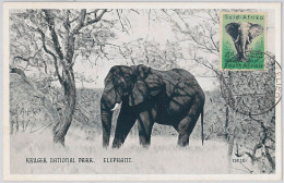 52641 - SOUTH AFRICA  -  MAXIMUM CARD -  ANIMALS  Elephant  1956 - Animalez De Caza