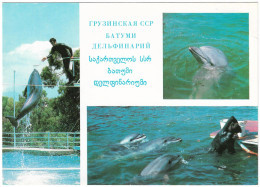 1980 GEORGIA ADJARA BATUMI Dolphinarium - Géorgie