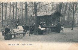 BRUXELLES  DANS LE PARC            2 SCANS - Forêts, Parcs, Jardins