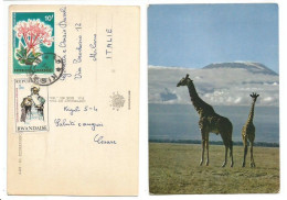 Rwanda PPC Mt. Kilimanjaro And Giraffes With 2 Stamps - Ruanda