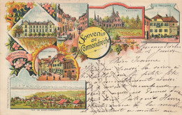 TOP - SUISSE - NE - NEUCHATEL - CORMONDRÈCHE - Souvenir Carte Précurseur 1898 - Lithographie -  (Sui-135) - Cormondrèche