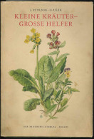 Kleine Kräuter - Grosse Helfer. - Old Books