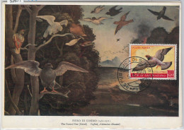 52671  - SAN MARINO  - MAXIMUM CARD - ANIMALS Birds DOVE Piggeon 1959 - Pigeons & Columbiformes