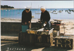 56  Port De LOMENER En PLOEMEUR  Vente De Fruits De Mer.    SUP PLAN Années 90 - Ploemeur