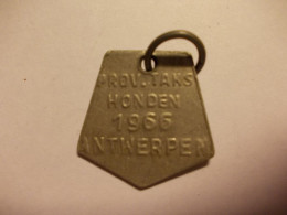 Oude Gemeentepenning Honden Taks Penning Medaille 1966 Uit Antwerpen - Hondenpenning - Autres & Non Classés