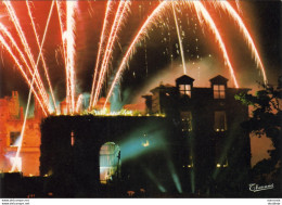 D64  BIDACHE  Le Château  ........... Avec Feux D'Artifice - Bidache