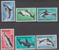 FALKLAND - Faune Marine -Dauphins Et Marsoins- Cétacées - Mammifères - - Delfini