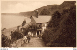 ENGLAND  CLOVELLY   Rose Cottage ( Avec ânes ) - Clovelly