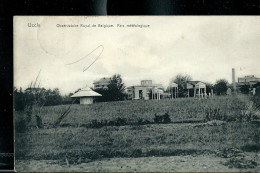 Carte Obl. 14/07/1909 : Observatoire Royal De Belgique - Ukkel - Uccle