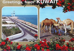*CPM - KOWEIT -  Multivue - Kuwait