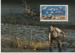 Germany Deutschland 1990 Maximum Card, Schutzt Die Nordsee, Protect The North Sea, Fauna Fishing Fish, Bonn - 1981-2000