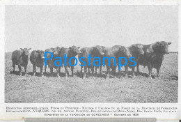 223794 ARGENTINA CONCORDIA EXPOSICION 1925 PUBLICITY COW PRODUCTOS YUQUERY CORRIENTES POSTAL POSTCARD - Argentine