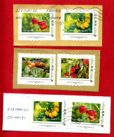 2010 - Collector "FRUITS D'ÉTÉ" - 6 Timbres Montimbramoi Sur Fragments - Usados