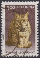 2000 Indien ° Mi:IN 1759, Sn:IN 1825, Yt:IN 1525, Leopard Cat (Prionailurus Bengalensis) - Usados