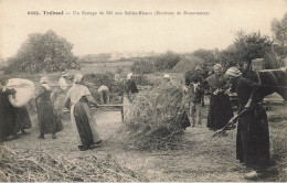 Tréboul , Près Douarnenez * Un Battage De Blé Aux Sables Blancs * Scène Agricole Agriculture Paysans - Tréboul