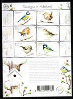 Nederland NVPH 3743-48 V3743-48 Vel Tuinvogels In Nederland 2019 Postfris MNH Netherlands Birds Fauna - Ongebruikt