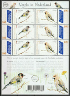 Nederland NVPH 3738-39 V3738-39 Vel PostEurop Vogels In Nederland 2019 Postfris MNH Netherlands Birds Fauna - Ongebruikt