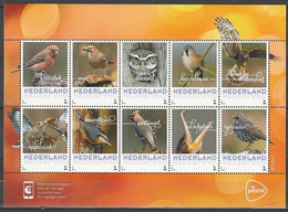 Nederland NVPH 3013 Vel Persoonlijke Zegels Vogels In Nederland Herfst 2018 MNH Postfris Fauna Birds - Timbres Personnalisés