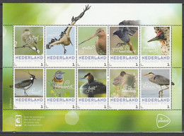 Nederland NVPH 3013 Vel Persoonlijke Zegels Vogels In Nederland Lente 2018 MNH Postfris Fauna Birds - Personnalized Stamps