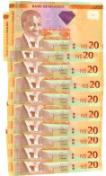 Namibia 10x 20 Dollars 2013 UNC "Shiimi" - Namibia