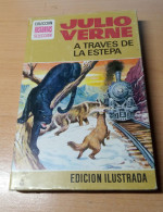 Novela A Traves De La Estepa De Julio Verne  Editorial Bruguera 1977 - Classical