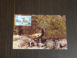 Cyprus 1992 Europa 86 Moufflon Maximum Card - Storia Postale