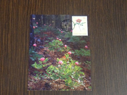 Cyprus 1992 Flower 1990 Maximum Card - Lettres & Documents