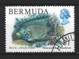 Bermuda 1978 Fish Y.T. 366  (0) - Bermudes