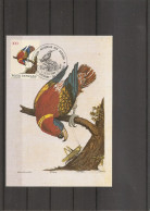 Perroquets ( CM Du Vatican De 1989 à Voir) - Parrots