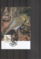 Belgique - Oiseaux - Buzin (   CM De 2000 à Voir) - 1991-2000