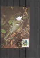 Belgique - Oiseaux - Buzin (   CM De 1999 à Voir) - 1991-2000