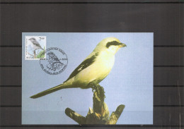 Belgique - Oiseaux - Buzin (   CM De 1998 à Voir) - 1991-2000