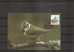 Belgique - Oiseaux - Buzin (   CM De 1998 à Voir) - 1991-2000