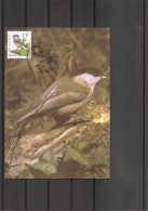 Belgique - Oiseaux - Buzin (   CM De 1997 à Voir) - 1991-2000